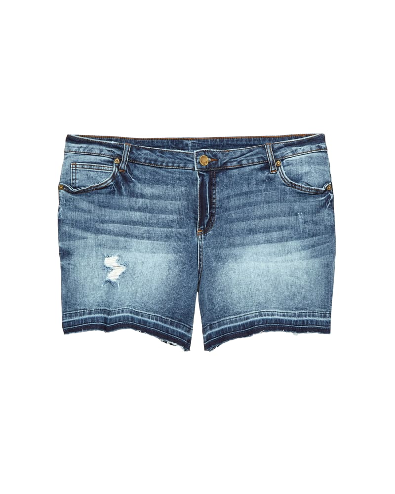 Front of plus size  by Kut From The Kloth | Dia&Co | dia_product_style_image_id:124335